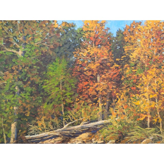 Jerry Greenberg "Arkansas River Ozarks" Contemporary Realistic Forested Landscape Painting, 1995 For Sale - Image 10 of 12