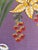Thibaut F920850 Pasadena Plum Fabric 1 7/8 yards Brand Thibaut Fabric Book / Collection Eden Pattern Pasadena Thibaut...