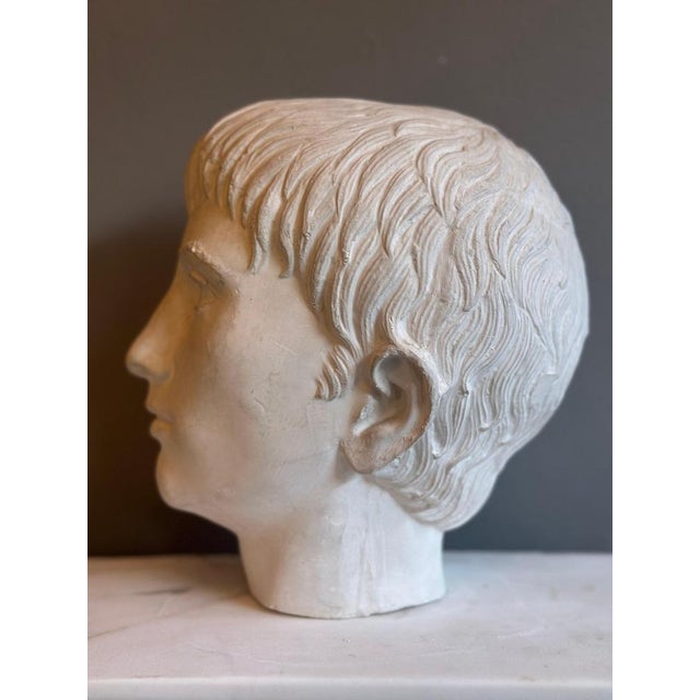 Young and Older Julius Caesar Plaster Heads, Set of 2 For Sale - Image 12 of 15