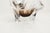 Square Clear and Brown Murano Glass Ashtray, 1960s For Sale - Image 11 of 13