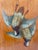 The product is an antique still life painting of game, birds or ducks after the hunt by artist Clarence E. Braley, from...