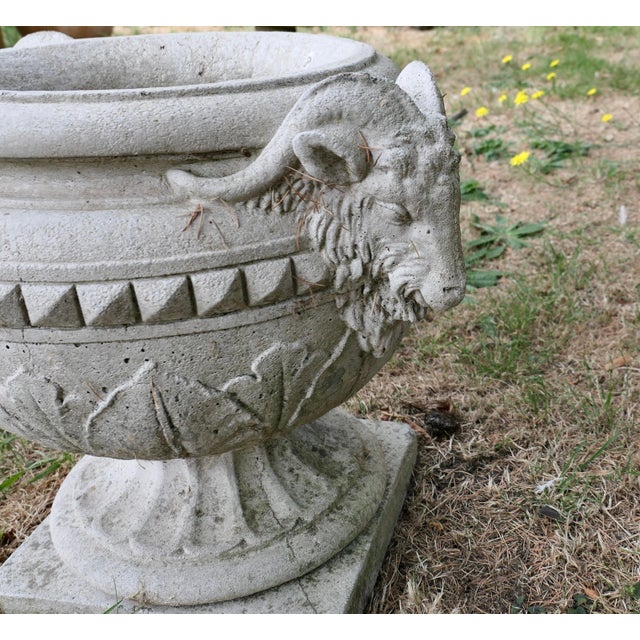 1930s Vintage Rams Head Planter in Stone, 1930 For Sale - Image 5 of 7