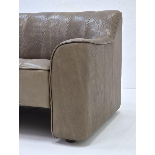 DS 44 Two-Seater Sofa in Buffalo Brown Leather from de Sede, 1970s For Sale - Image 13 of 15