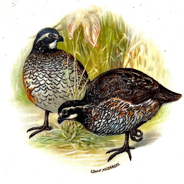 Vintage Theodore Haviland Porcelain Game Bird Plates by Edwin Megargee - Set of Six For Sale - Image 11 of 14