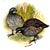 Vintage Theodore Haviland Porcelain Game Bird Plates by Edwin Megargee - Set of Six For Sale - Image 11 of 14