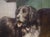 A Working Dog, Signed 19th Century French Oil on Canvas Painting For Sale - Image 15 of 15