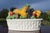 Bordallo Pinheiro Ceramic Fruit Basket Serving Dish For Sale - Image 9 of 15