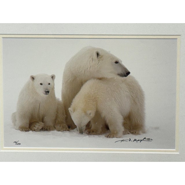 Wood Thomas Mangelsen Images of Nature Collection of Polar Expressions Photography, Signed For Sale - Image 7 of 12