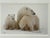 Wood Thomas Mangelsen Images of Nature Collection of Polar Expressions Photography, Signed For Sale - Image 7 of 12