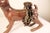 Bronze Bunny in Tutu For Sale In Los Angeles - Image 6 of 8