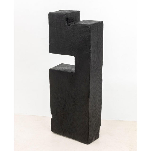 Ebony Nerone Ceccarelli & Gianni Patuzzi Sculpture, 1972 For Sale - Image 8 of 8