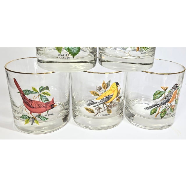 Birdwatchers Songbird Lowball Glasses- Set of Six For Sale - Image 9 of 12