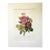 Vintage Pierre-Josephe Redouté Print in 14x18 Mat-Roses, Anemone and Clematis For Sale