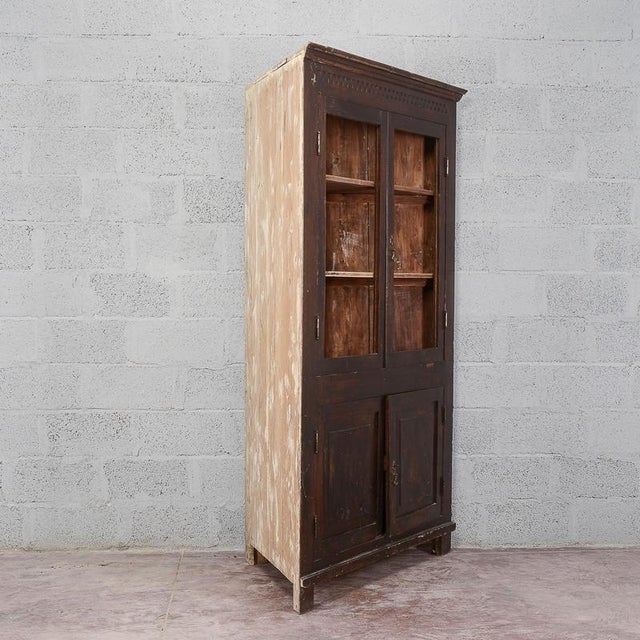 Wood 19th Century Display Cabinet with Shelves For Sale - Image 7 of 18
