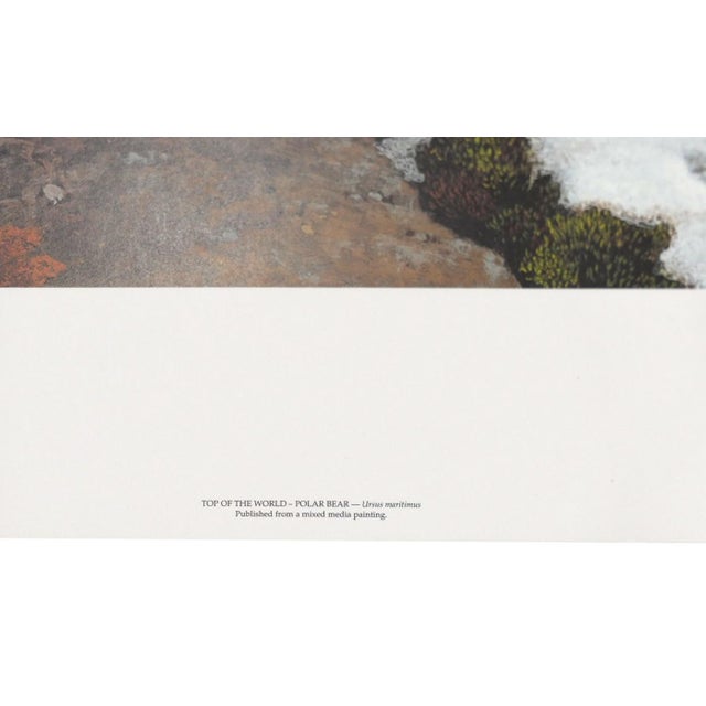 Printmaking Materials Carl Brenders "Top of the World - Polar Bear" Signed Limited Edition Lithograph, 1995 For Sale - Image 7 of 11