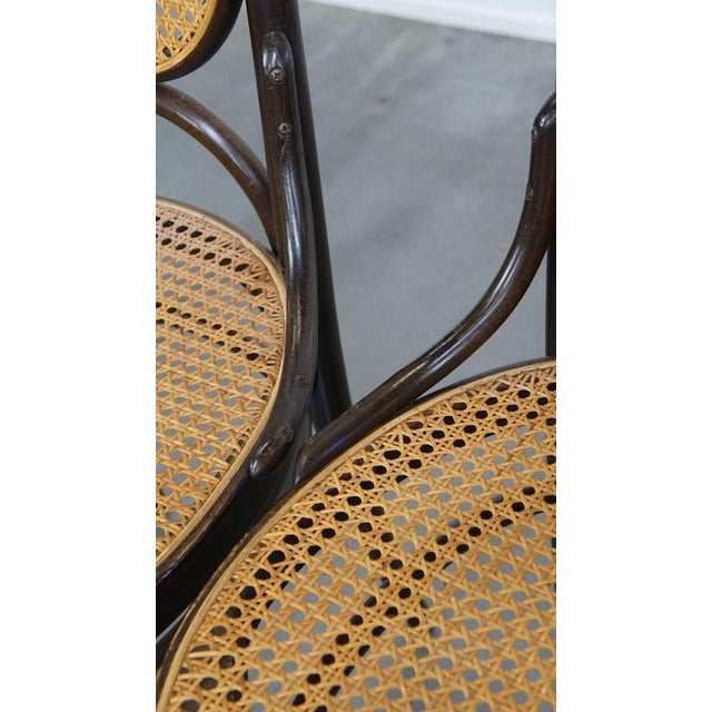 Vintage Bentwood Chairs by Michael Thonet, Set of 4 For Sale - Image 12 of 18