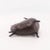 Rustic Bronze Sculpture "Dancing Sheep" 1992 by Jill Shwaiko For Sale - Image 4 of 9