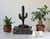 Vintage hand carved ironwood cactus sculpture. No makers mark. Minor age wear.