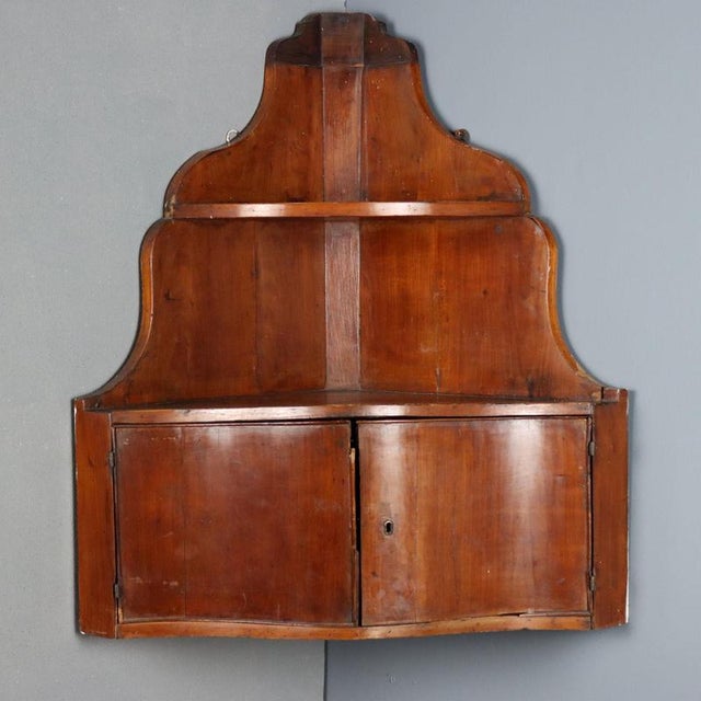 19th Century Hanging Walnut Corner Cabinet, Italy For Sale - Image 3 of 11