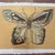 Original Acrylic Butterfly Painting Mounted on Fabric and Framed Created by myself, Dawn Lensing. Other original works may...