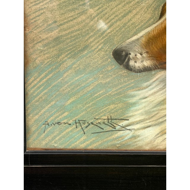Art Nouveau 1910s Art Nouveau Pastel Portrait of a Collie For Sale - Image 3 of 8