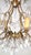 Antique Gilded Metal and Murano Glass Drop Chandelier, 1920s For Sale - Image 13 of 13