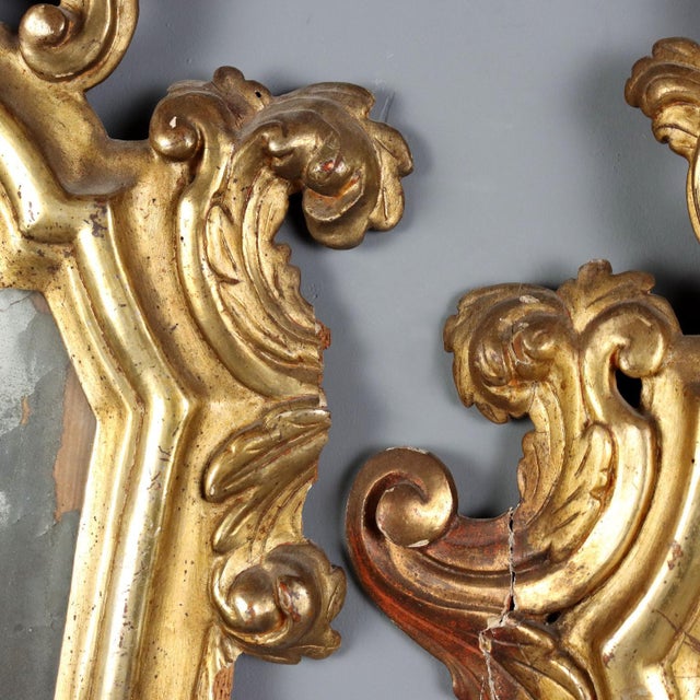 Small Carved Gilded Mirrors, Set of 3 For Sale - Image 6 of 13