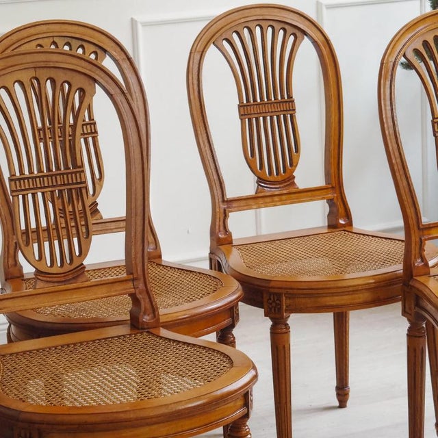 Louis XVI Chairs in Cherry Wood with Cane Webbing and Balloon Backrests, Set of 4 For Sale - Image 8 of 15
