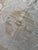 1960s Vintage Hand-Embroidered Neutral Tan Suzani From Bukhara 4'9'' X 4'10'' For Sale - Image 5 of 8