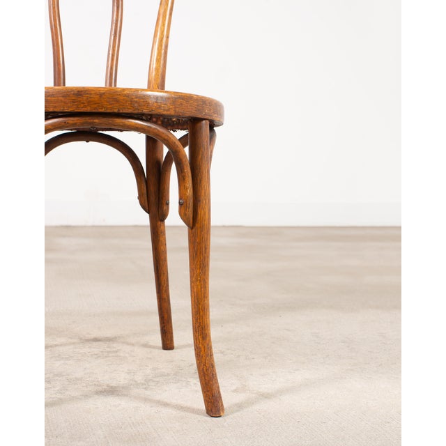 Pair of J & J Kohn Thonet Bentwood Cane Viennese Café Chairs For Sale - Image 11 of 17