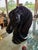 1970s Ceramic Horse Head For Sale - Image 15 of 16