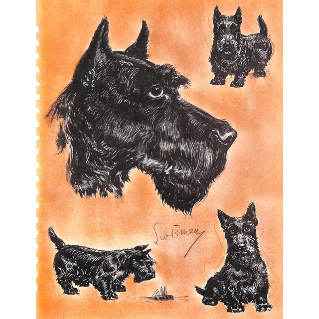 White "Diana Thorne's Dogs: An Album of Drawings" 1944 Thorne, Diana For Sale - Image 8 of 12