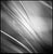 Not Yet Made - Made To Order Paul Cooklin, Grass #II, Edition of 50 For Sale - Image 5 of 5