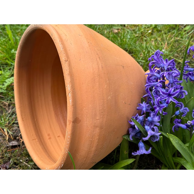 Large Rustic Terracotta Amphora Planter, 1990s For Sale - Image 10 of 11