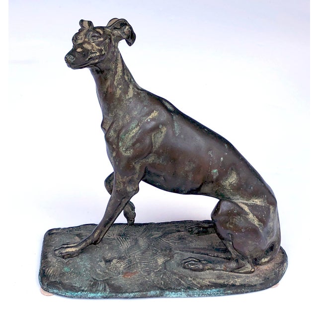 This wonderfully expressive seated greyhound with head turned and paw raised