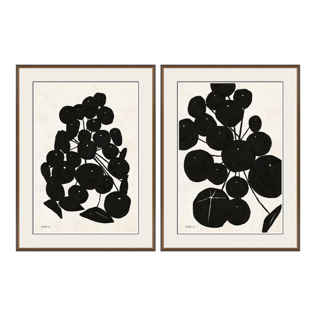 Sedum Cluster I and II by Susan Hable For Sale