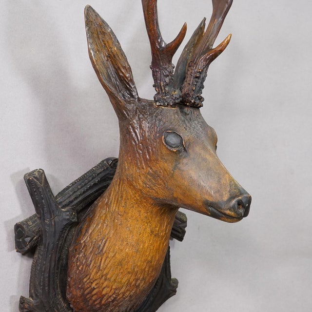 Large Naturalistic Black Forest Carved Deer Head, Ca. 1930s For Sale - Image 4 of 8