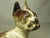 Cast Iron Hubley Boston Terrier Doorstop For Sale In San Francisco - Image 6 of 15