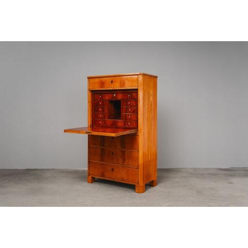 Biedermeier Standing Secretaire in Mahogany For Sale - Image 6 of 18