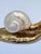 Gold Mid Century Italian Nautical Brass and Shell Snail Art Sculpture from Gabriella Crespi, 1950s For Sale - Image 8 of 11