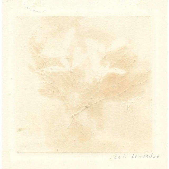 Lali Lomtadze Modern Still Life Mixed Media For Sale - Image 4 of 4