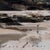 Contemporary Into the Light Study by Jon Doran | Oil on Panel Small Study of a Beach at Low Tide For Sale - Image 4 of 9