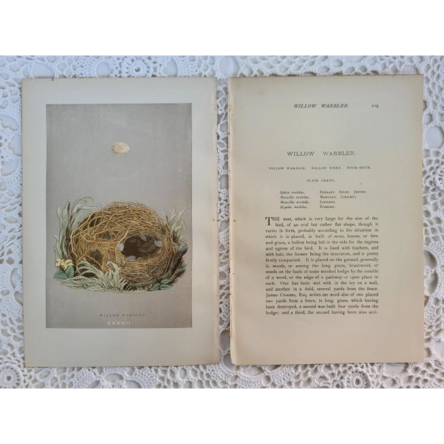 1855 Framed Woodblock Print, "A Natural History of the Nests & Eggs of British Birds" For Sale - Image 11 of 12