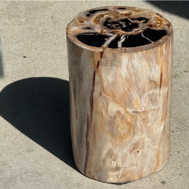 Multicoloured Petrified Wood Side Table For Sale - Image 16 of 16