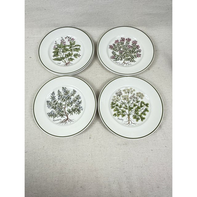 Vintage Tiffany Herbs Plates For Sale - Image 11 of 12