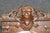 Antique Victorian Allen Brothers Carved Side Chair For Sale - Image 11 of 12