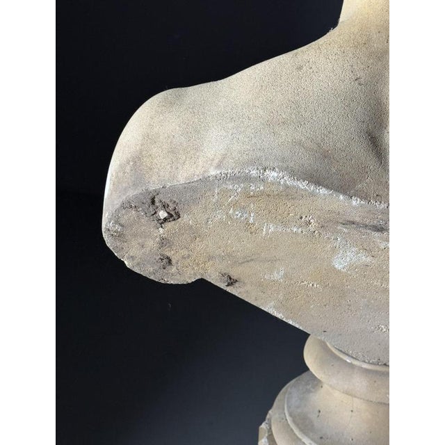 Unknown, Antinous Bust on pedestal, 20th Century, Stone For Sale - Image 18 of 18