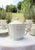 Porcelain Tea Set for 12 from Bernardaud Limoges, 1950s, Set of 27 For Sale - Image 9 of 10
