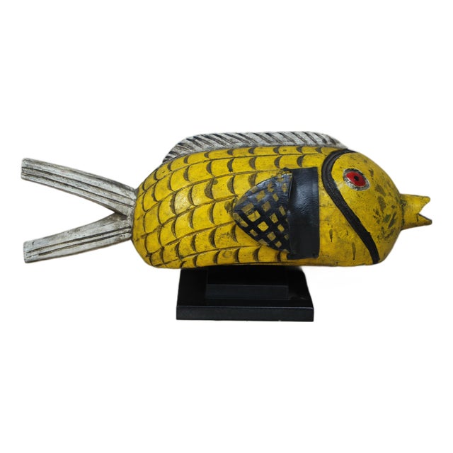 Mali Bozo Puppet Fish For Sale