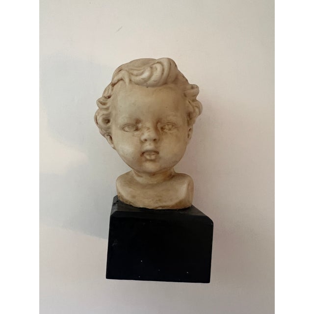 Antique Bust Baby’s Head For Sale - Image 4 of 4